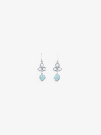 Aquamarine and Grandidierite Dangle Droplet Earrings
